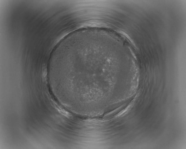 X0000075901065200609291726