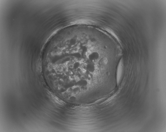 X0000075901067200609291726