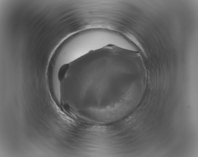 X0000075901068200609291726