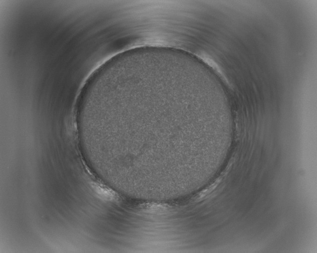 X0000075901070200609291726