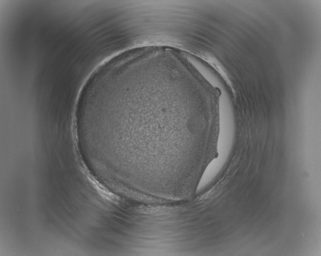 X0000075901072200609291726