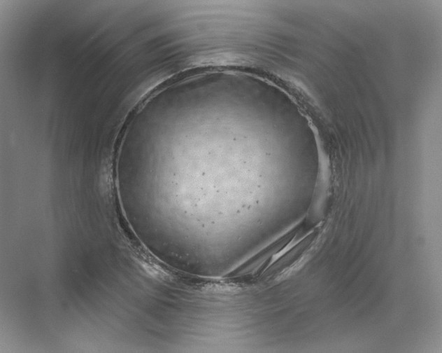 X0000075901073200609291726