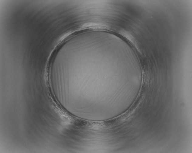 X0000075901074200609291726