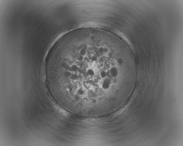 X0000075901075200609291726