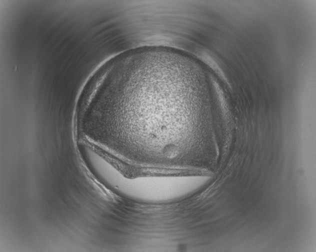 X0000075901076200609291726