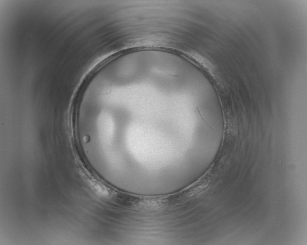 X0000075901078200609291726