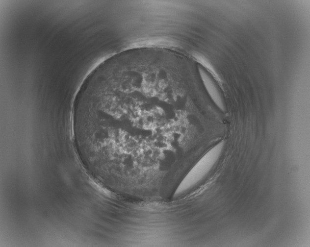 X0000075901079200609291726