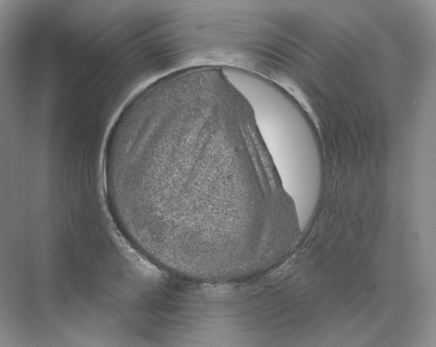 X0000075901080200609291726