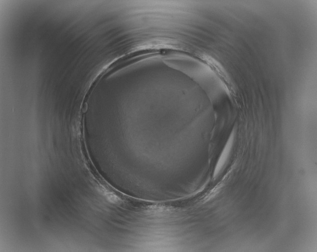 X0000075901081200609291726