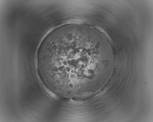 X0000075901083200609291726