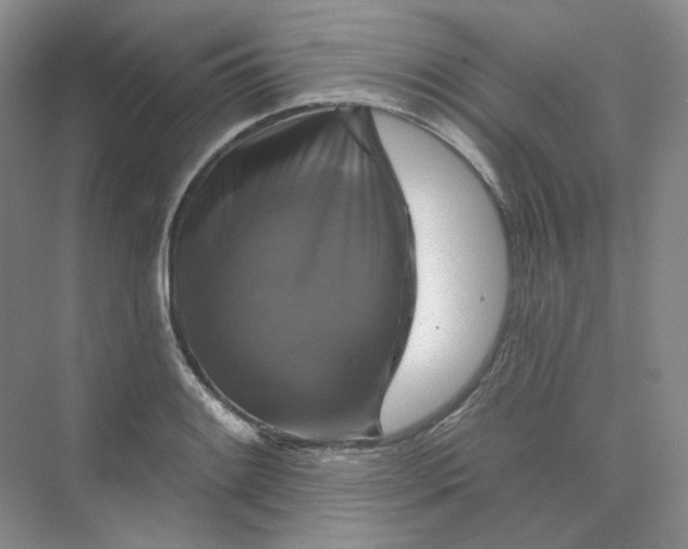 X0000075901084200609291726