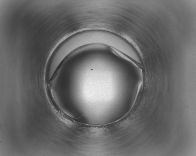 X0000075901085200609291726