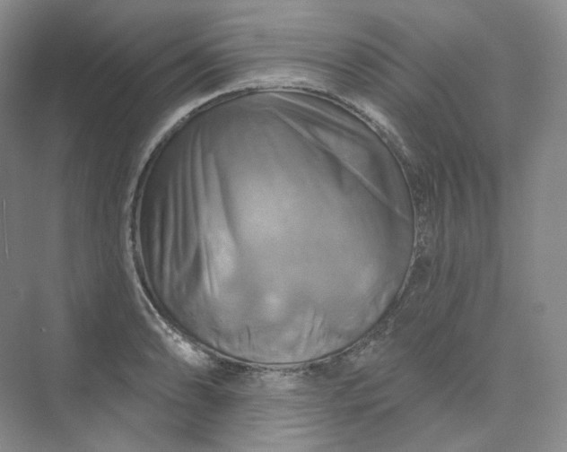 X0000075901086200609291725