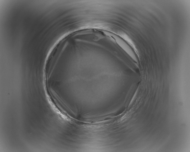 X0000075901088200609291725