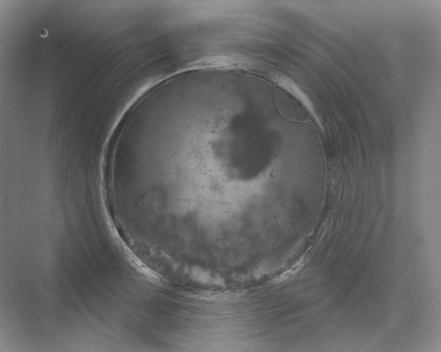 X0000075901091200609291725