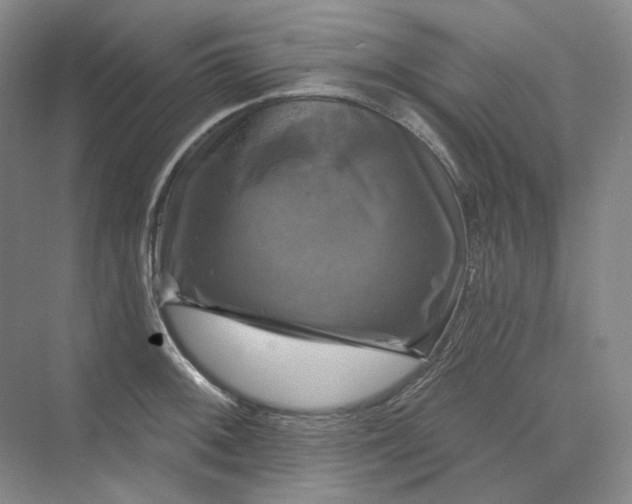 X0000075901092200609291725