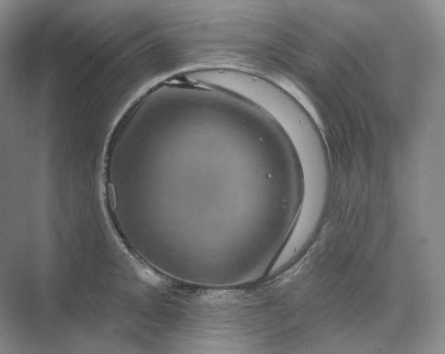 X0000075901093200609291725