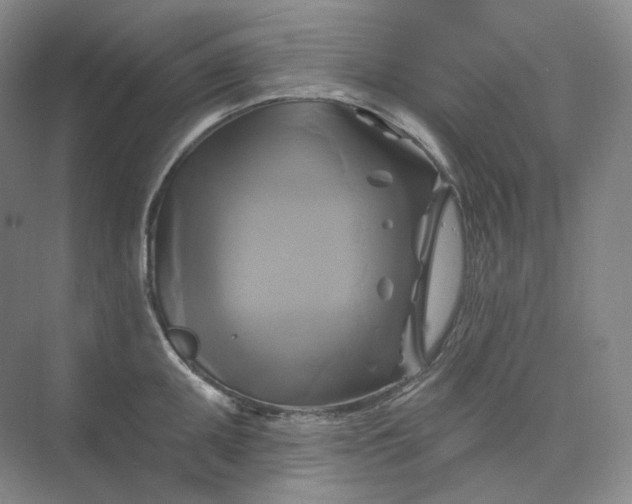 X0000075901095200609291725