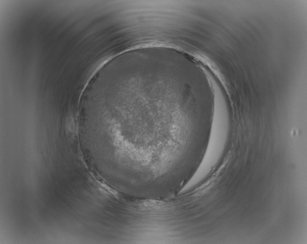 X0000075901097200609291725