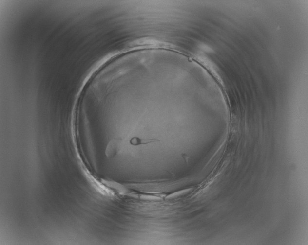 X0000075901098200609291725