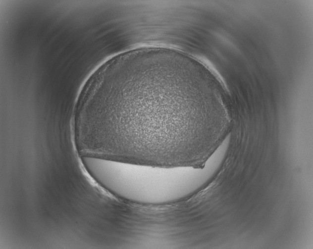 X0000075901100200609291725