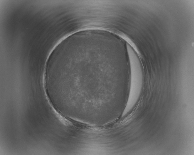 X0000075901101200609291725