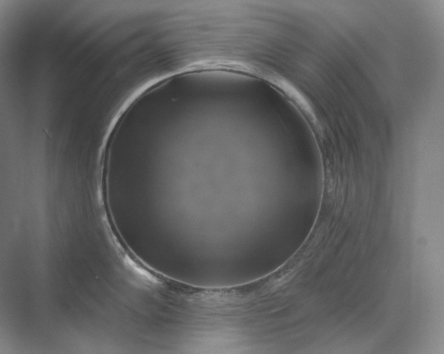 X0000075901102200609291725