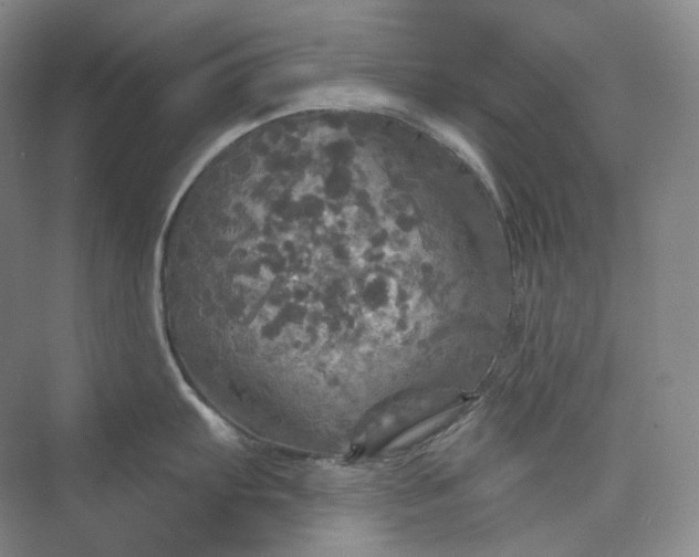 X0000075901103200609291725