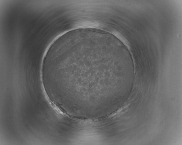 X0000075901104200609291725