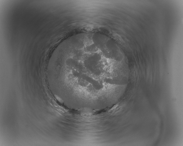 X0000075901105200609291724