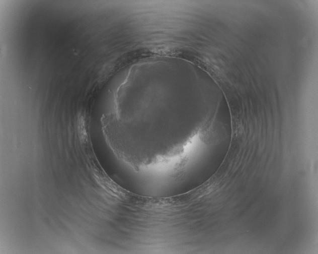 X0000075901106200609291724