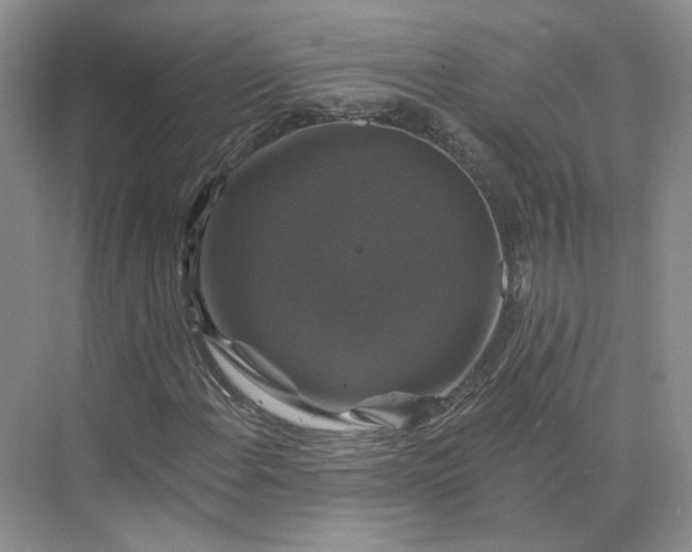 X0000075901108200609291724