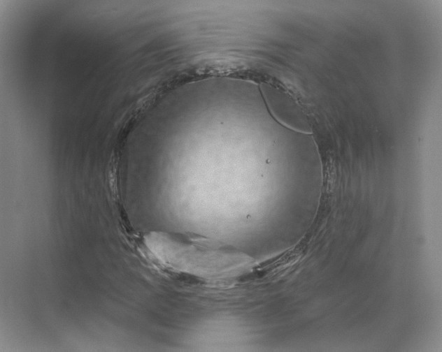 X0000075901109200609291724