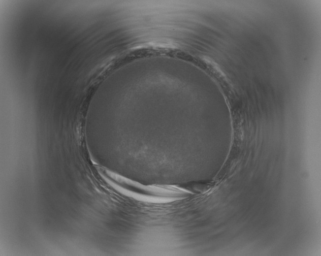 X0000075901110200609291724