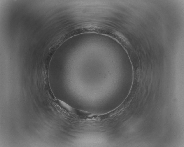 X0000075901111200609291724