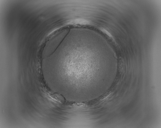 X0000075901112200609291724