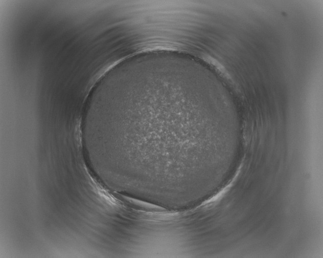 X0000075901113200609291725