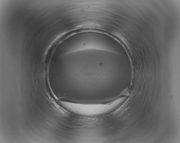 X0000075901115200609291725