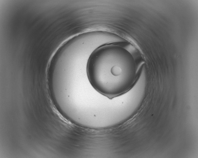 X0000075901116200609291725