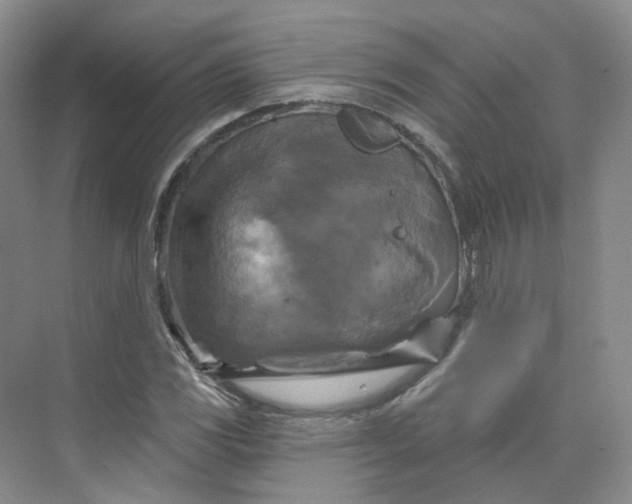 X0000075901117200609291725