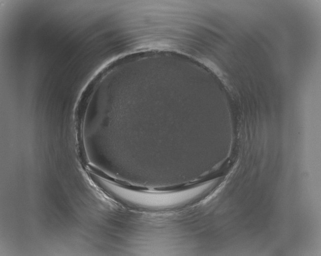 X0000075901118200609291725