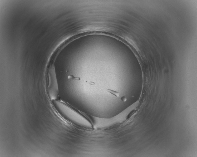 X0000075901119200609291725