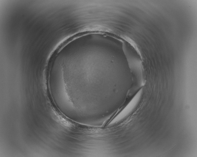 X0000075901120200609291725