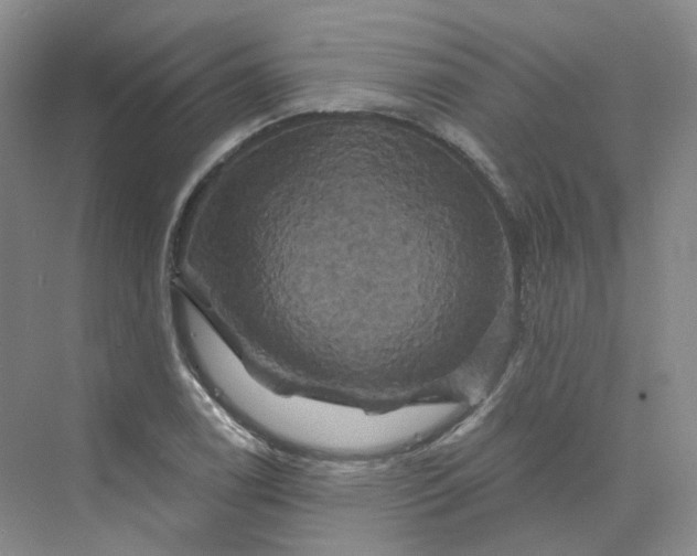 X0000075901122200609291725