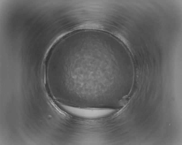 X0000075901123200609291725