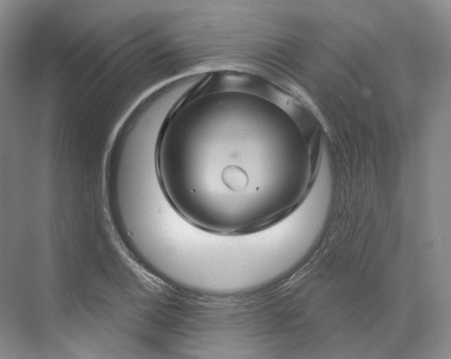 X0000075901124200609291725