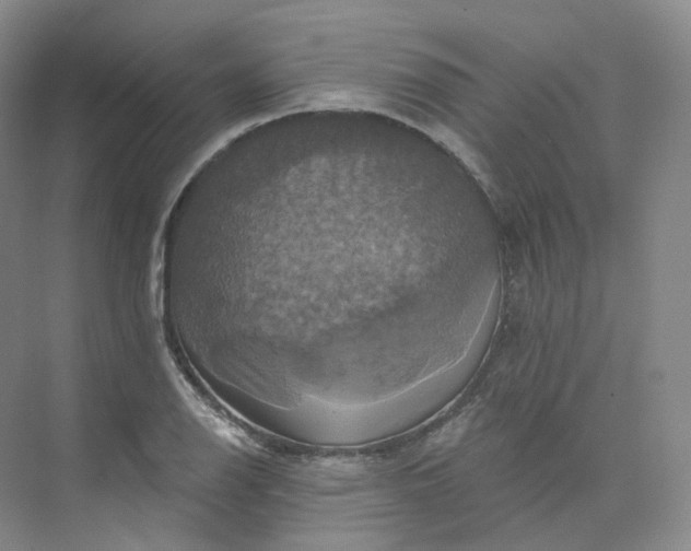 X0000075901126200609291725