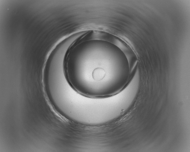 X0000075901128200609291725