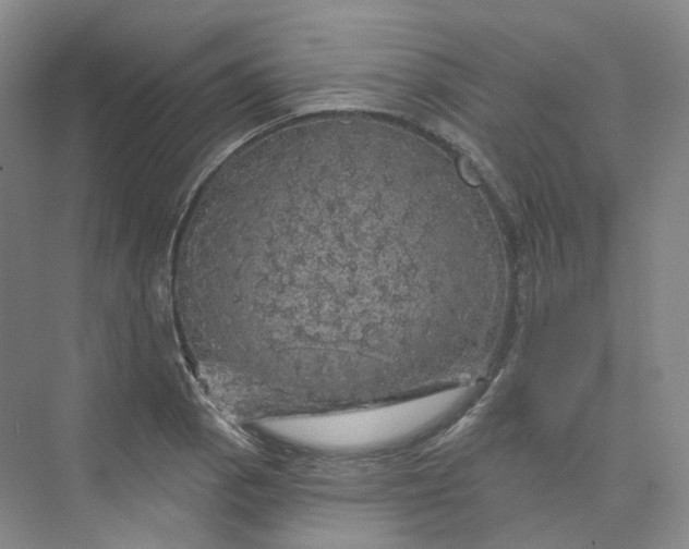 X0000075901129200609291725