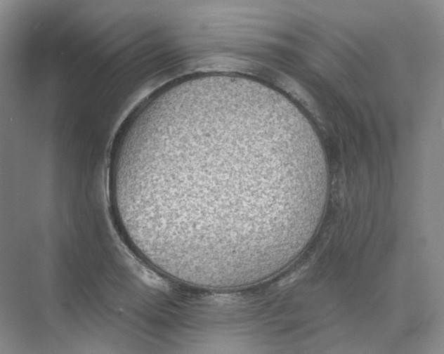 X0000075901130200609291725